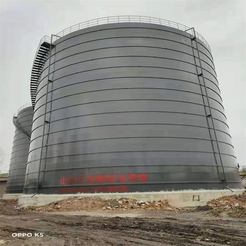 青神3万吨大型钢板库