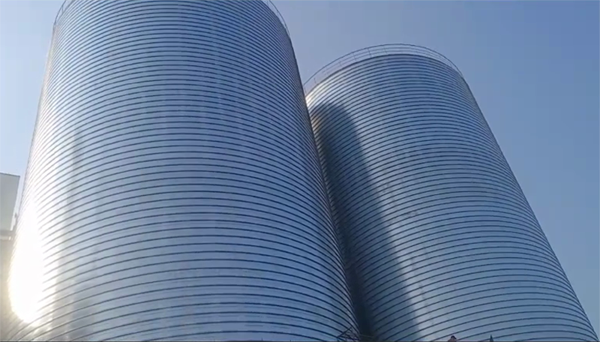 青神2座混凝土高架卷板仓